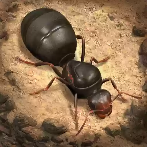 The Ants: Underground Kingdom Murah